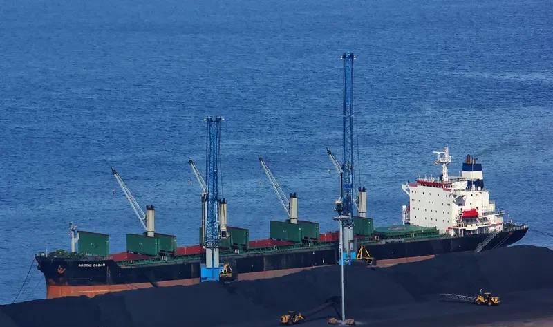 ARCTIC OCEAN Bulk Carrier IMO 8902450 photo 2