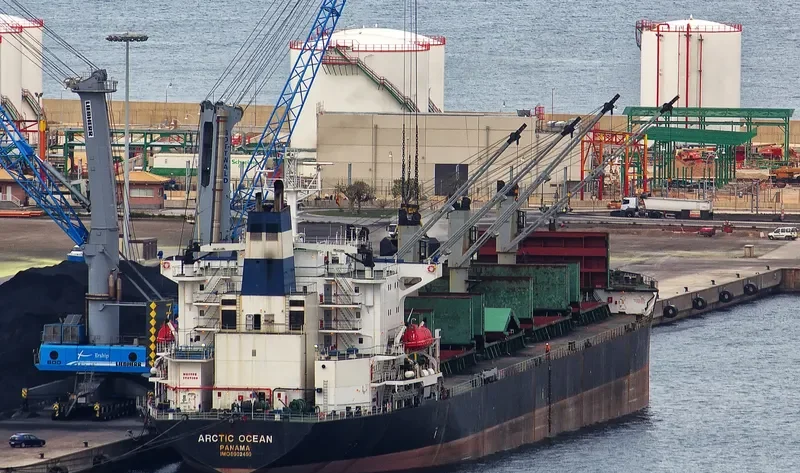 ARCTIC OCEAN Bulk Carrier IMO 8902450 photo 3