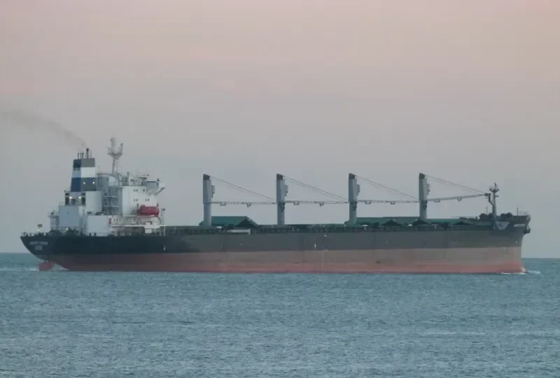 ARCTIC OCEAN Bulk Carrier IMO 8902450 photo 4