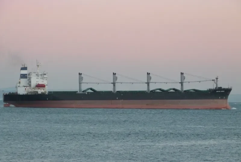ARCTIC OCEAN Bulk Carrier IMO 8902450 photo 5