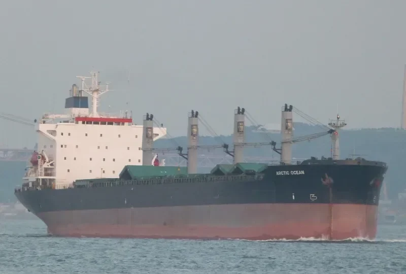 ARCTIC OCEAN Bulk Carrier IMO 8902450 photo 6