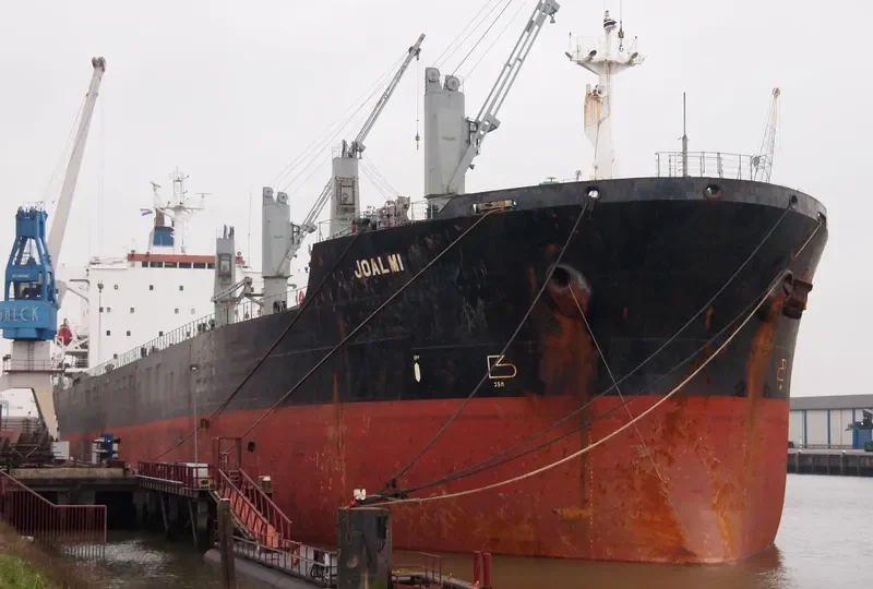 ARCTIC OCEAN Bulk Carrier IMO 8902450 photo 7