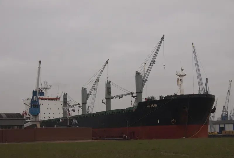 ARCTIC OCEAN Bulk Carrier IMO 8902450 photo 8