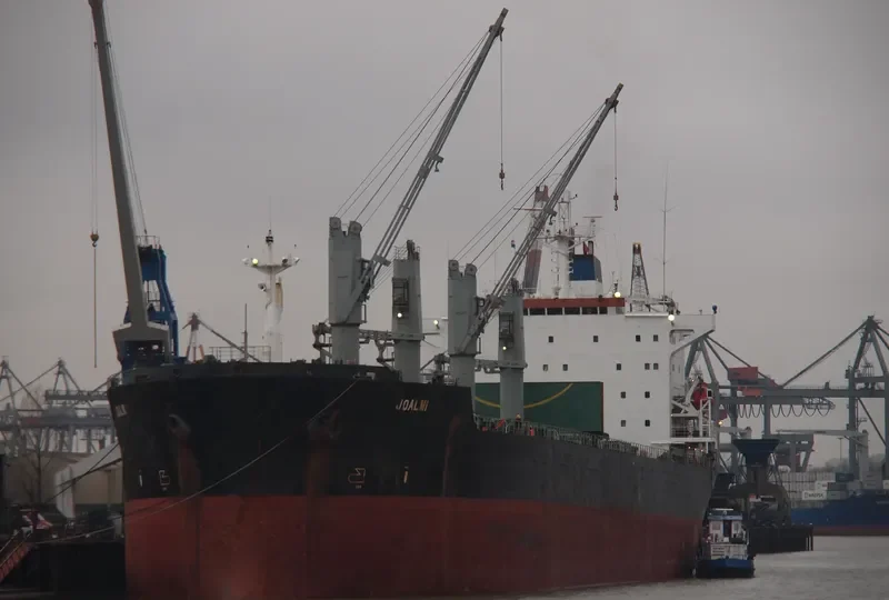 ARCTIC OCEAN Bulk Carrier IMO 8902450 photo 9