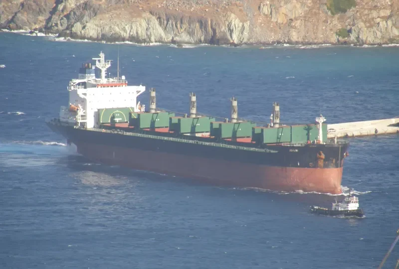 ARCTIC OCEAN Bulk Carrier IMO 8902450 photo 10