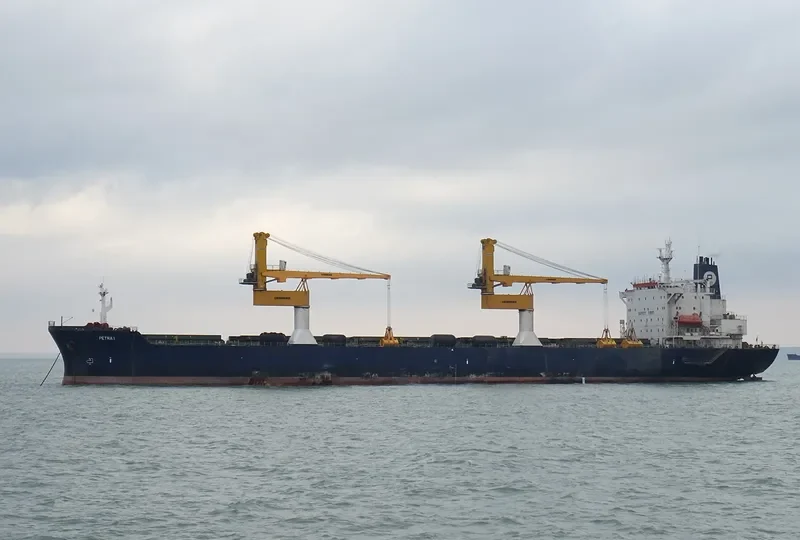 PETRA I Bulk Carrier IMO 8902462 photo 2