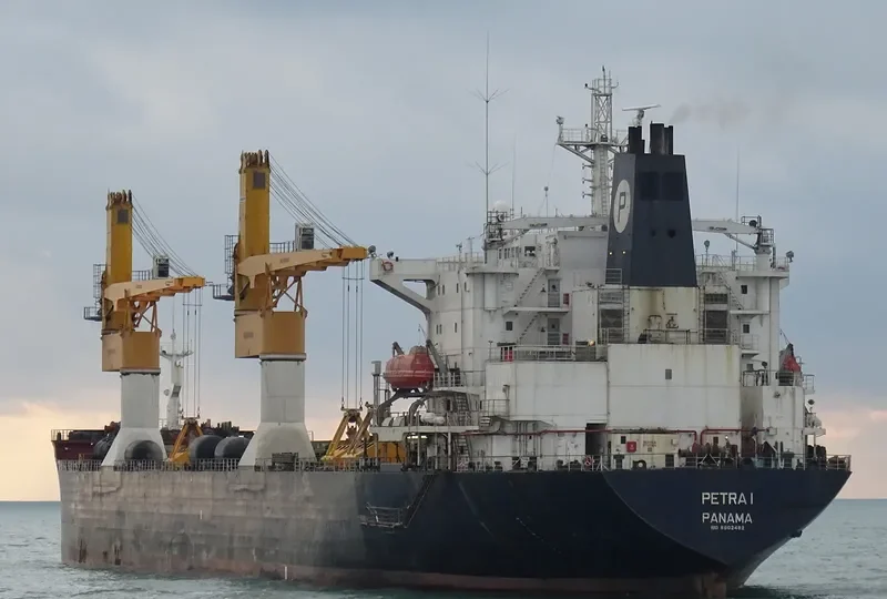 PETRA I Bulk Carrier IMO 8902462 photo 3