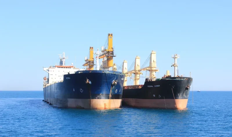 PETRA I Bulk Carrier IMO 8902462 photo 5