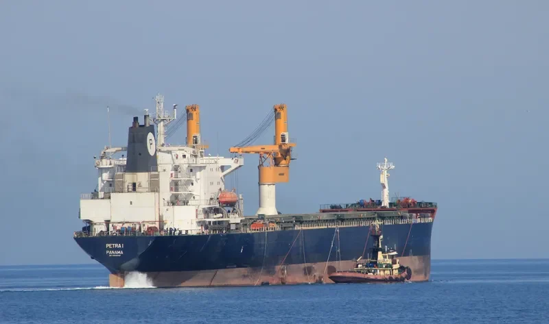 PETRA I Bulk Carrier IMO 8902462 photo 6