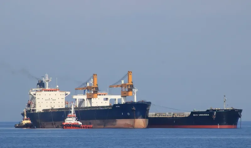 PETRA I Bulk Carrier IMO 8902462 photo 7