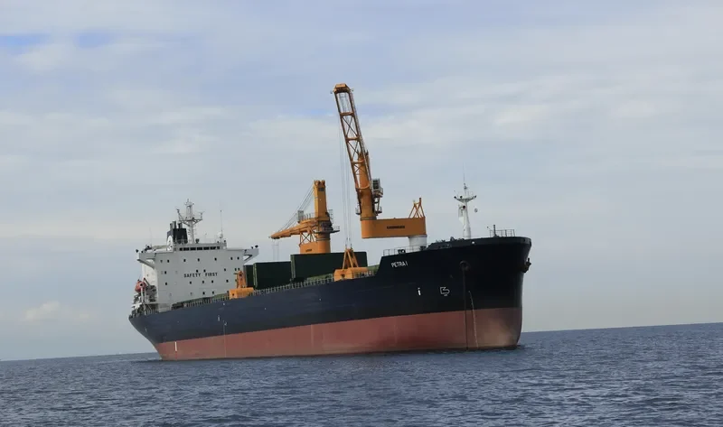 PETRA I Bulk Carrier IMO 8902462 photo 10