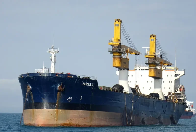 PETRA II Bulk Carrier IMO 8902474