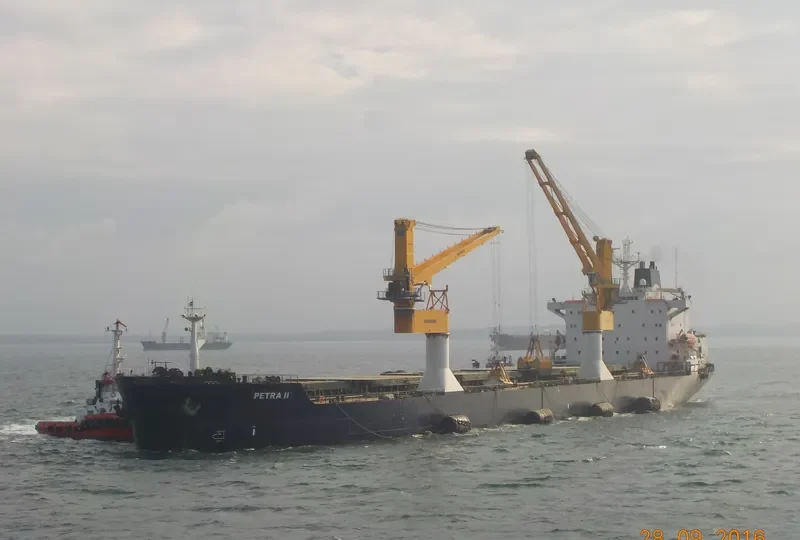 PETRA II Bulk Carrier IMO 8902474 photo 8