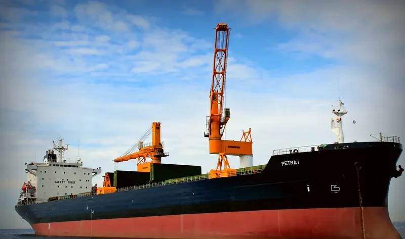 PETRA II Bulk Carrier IMO 8902474 photo 9