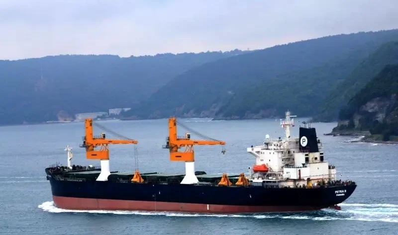 PETRA II Bulk Carrier IMO 8902474 photo 10