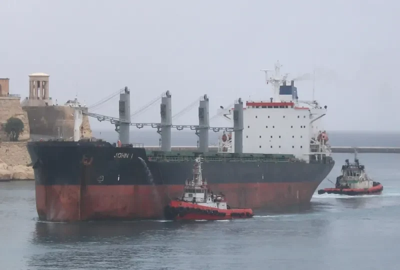 JOHN I Bulk Carrier IMO 8902486 photo 6