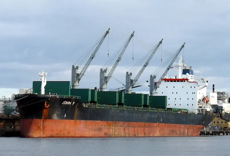 JOHN I Bulk Carrier IMO 8902486 photo 7