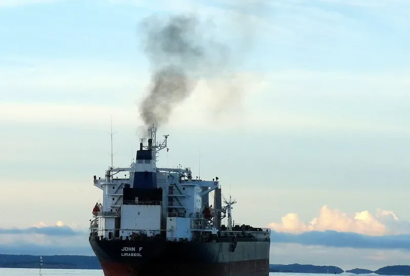 JOHN I Bulk Carrier IMO 8902486 photo 8