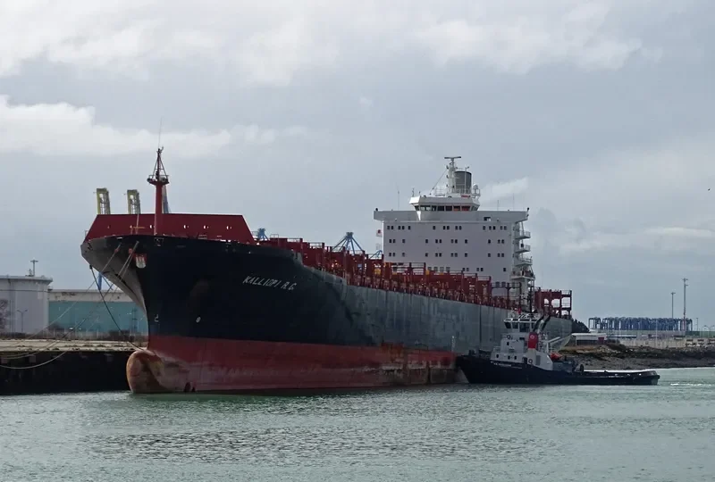 KALLIOPI R.C Container Ship IMO 8902565 photo 8