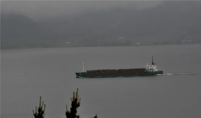 TIDAN General Cargo IMO 8902589 photo 4