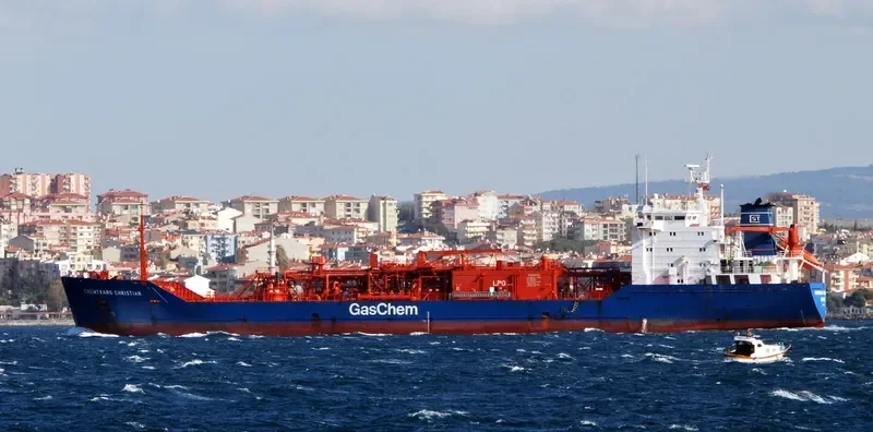 PARNA BERLIAN 2 General Cargo IMO 8902747 photo 2