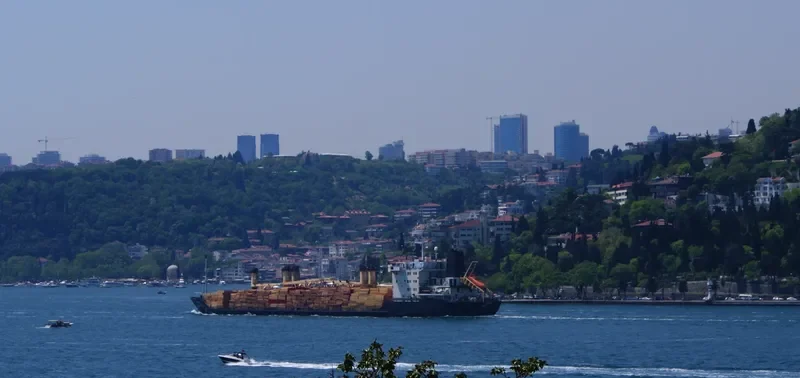 JOY M Bulk Carrier IMO 8902931 photo 6
