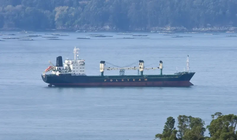 JOY M Bulk Carrier IMO 8902931 photo 9