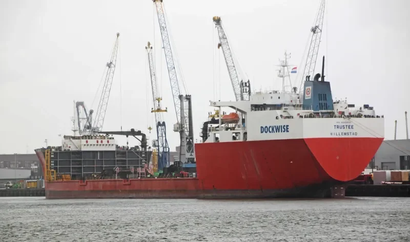 TRUSTEE General Cargo IMO 8902955 photo 8