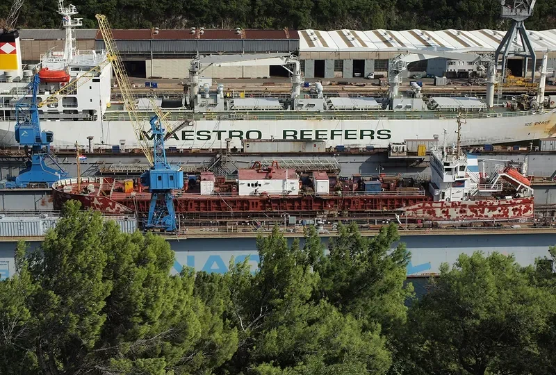 CEMSTAR General Cargo IMO 8903090 photo 2