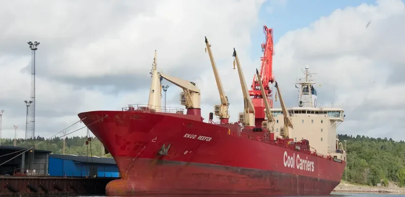 KNUD REEFER General Cargo IMO 8903167 photo 8