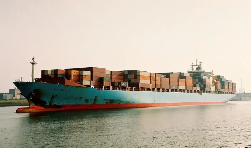 MERLION Container Ship IMO 8904111 photo 2