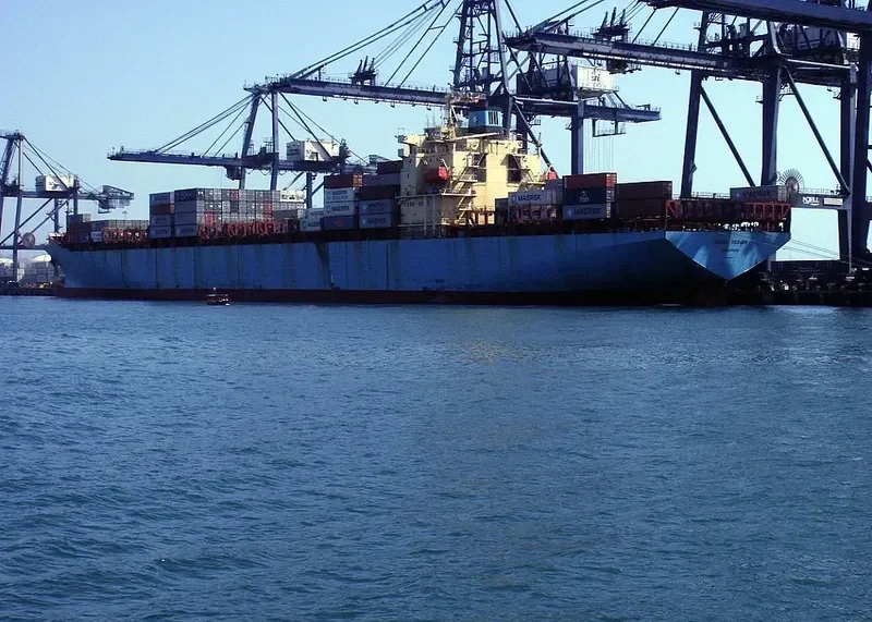 MERLION Container Ship IMO 8904111 photo 4