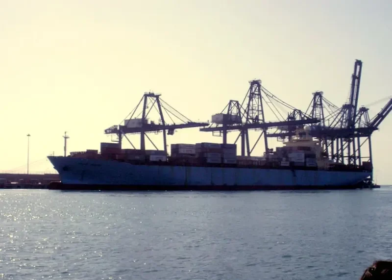 MERLION Container Ship IMO 8904111 photo 5