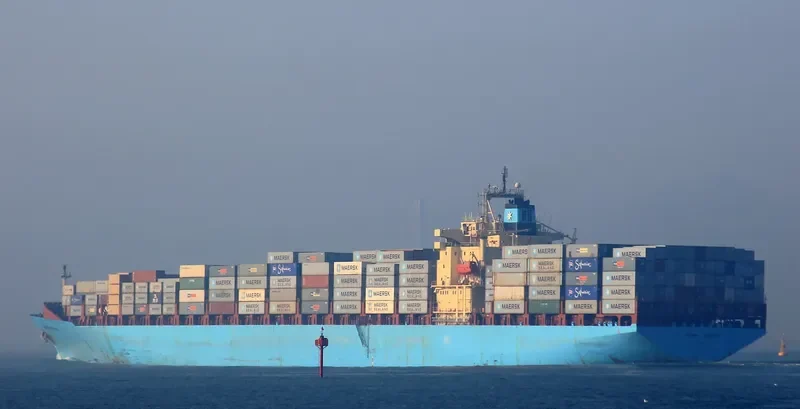 MERLION Container Ship IMO 8904111 photo 6
