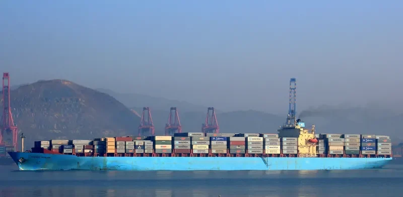 MERLION Container Ship IMO 8904111 photo 7