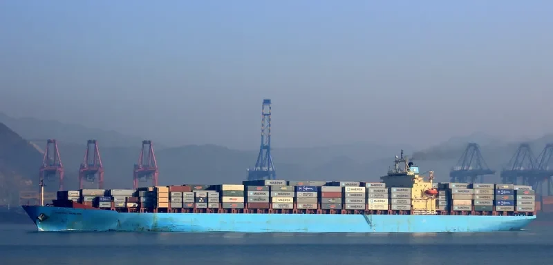 MERLION Container Ship IMO 8904111 photo 8