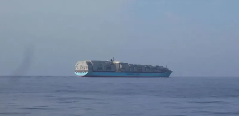 MERLION Container Ship IMO 8904111 photo 9