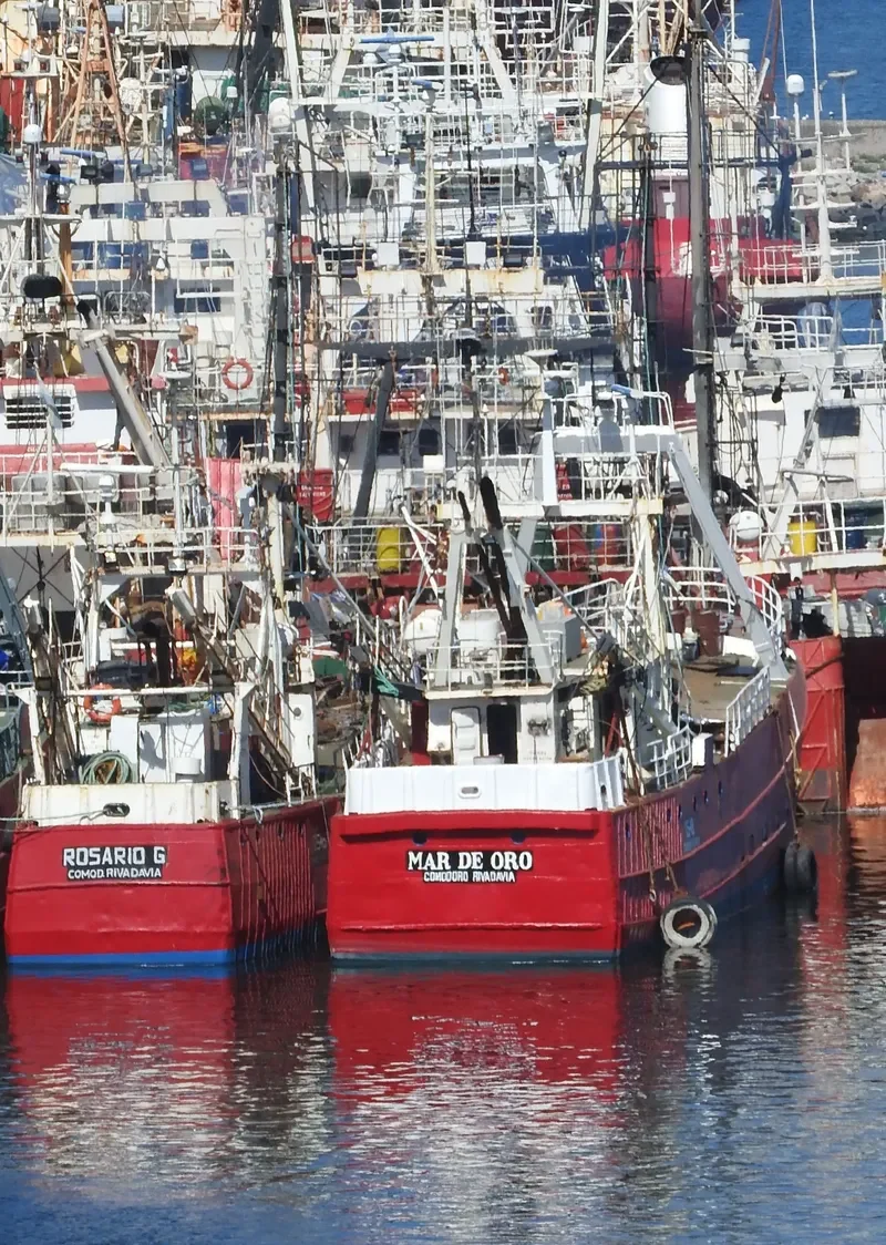 MAR DE ORO General Cargo IMO 8904343
