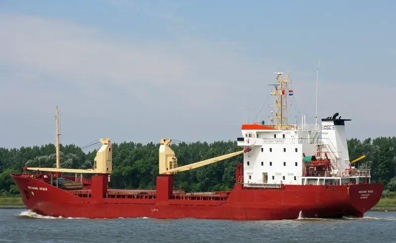 MEKHANIK YARTSEV General Cargo IMO 8904367 photo 2
