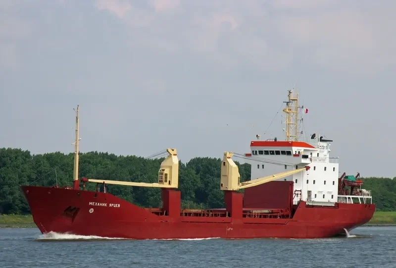 MEKHANIK YARTSEV General Cargo IMO 8904367 photo 3