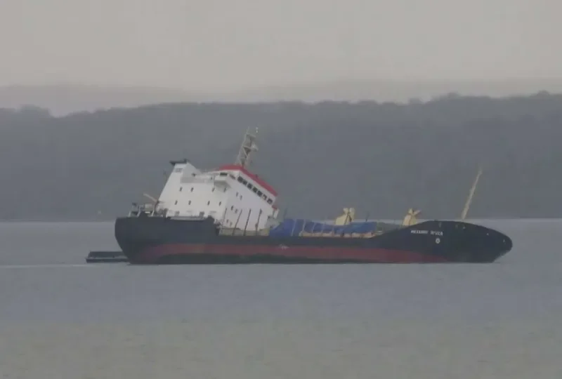 MEKHANIK YARTSEV General Cargo IMO 8904367 photo 4