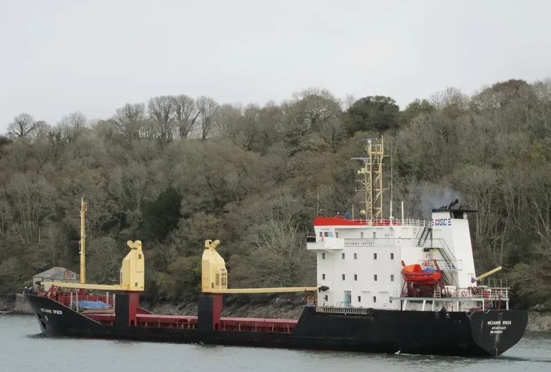 MEKHANIK YARTSEV General Cargo IMO 8904367 photo 5