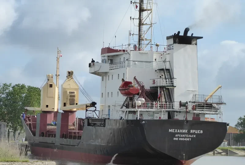 MEKHANIK YARTSEV General Cargo IMO 8904367 photo 7