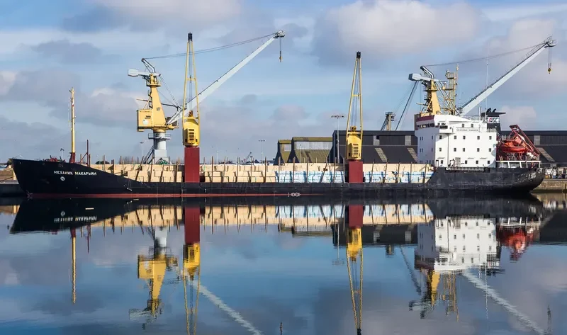 MEKHANIK MAKARIN General Cargo IMO 8904379 photo 9