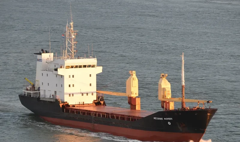 MEKHANIK FOMIN General Cargo IMO 8904381 photo 7