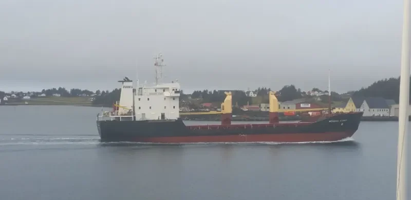 MEKHANIK FOMIN General Cargo IMO 8904381 photo 10