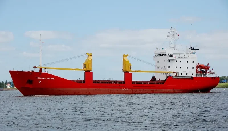 MEKHANIK BRILIN General Cargo IMO 8904408 photo 5