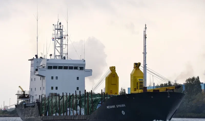 MEKHANIK BRILIN General Cargo IMO 8904408 photo 9