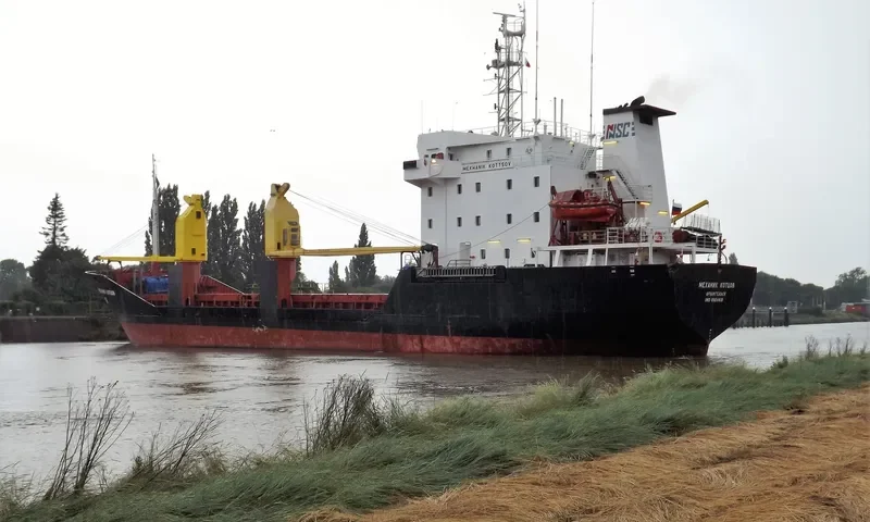 MEKHANIK KOTTSOV General Cargo IMO 8904410 photo 8