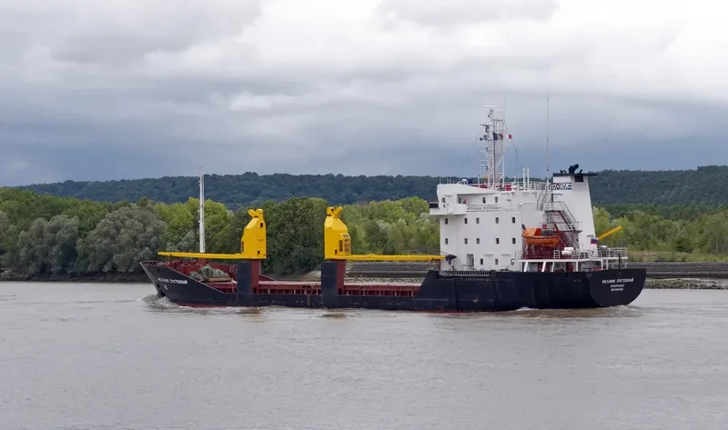 MEKHANIK PUSTOSHNYY General Cargo IMO 8904422 photo 5